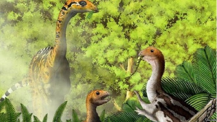 Some young dinosaurs shed teeth, say experts